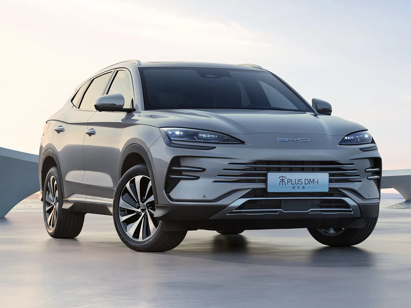 Indirimbo ya Byd Yongeyeho SUV ikora neza hamwe nintebe yinyuma yimpunzi ziva amaraso yivanze