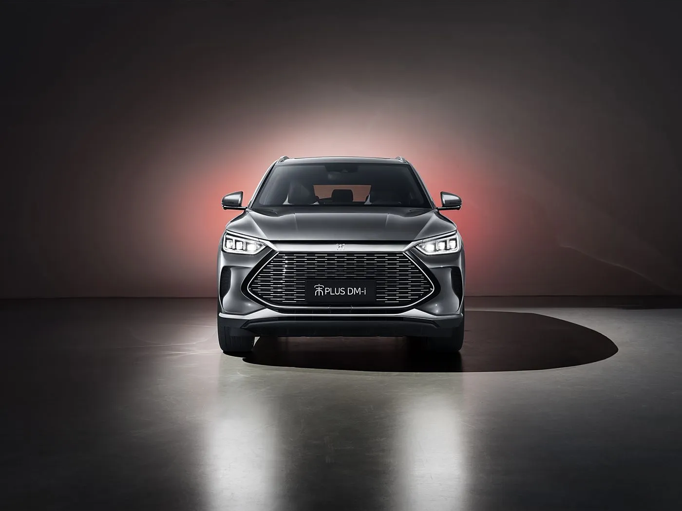 Indirimbo ya Byd Yongeyeho SUV ikora neza hamwe nintebe yinyuma yimpunzi ziva amaraso yivanze